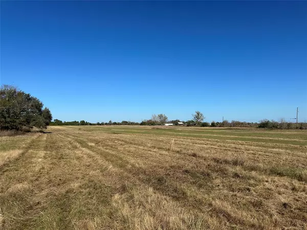 Waller, TX 77484,LOT 14 White Wing DR