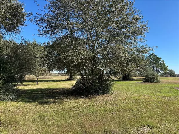 LOT 14 White Wing DR, Waller, TX 77484