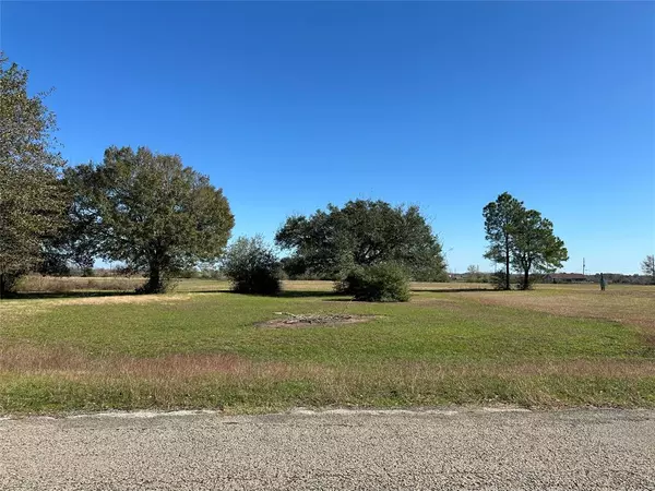 Waller, TX 77484,LOT 14 White Wing DR