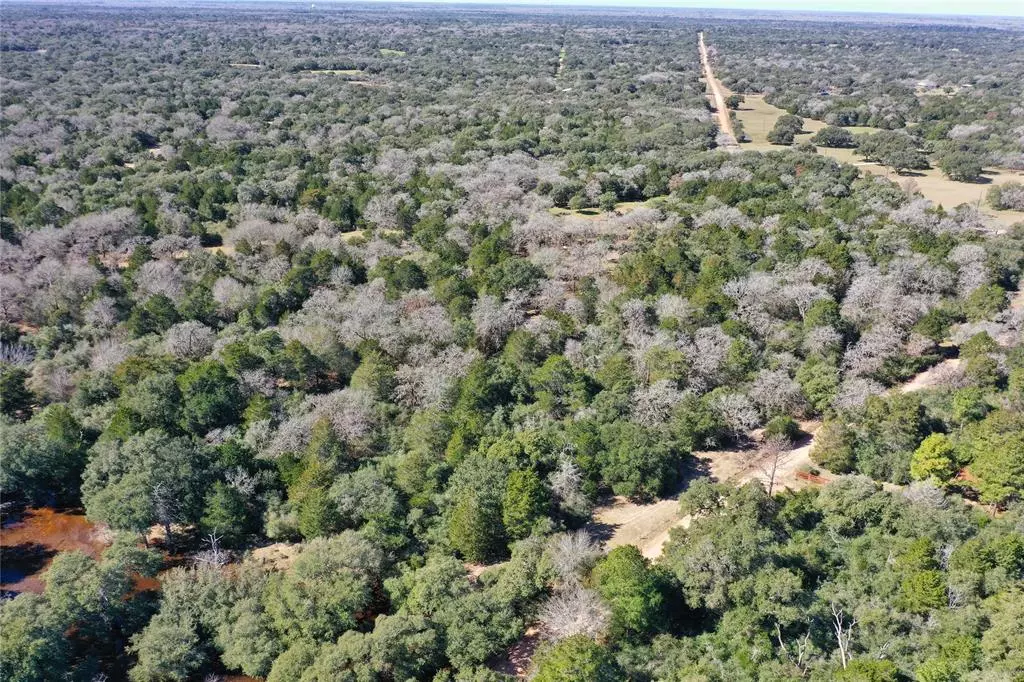 Hallettsville, TX 77964,1319 Tract 7 CR 16a