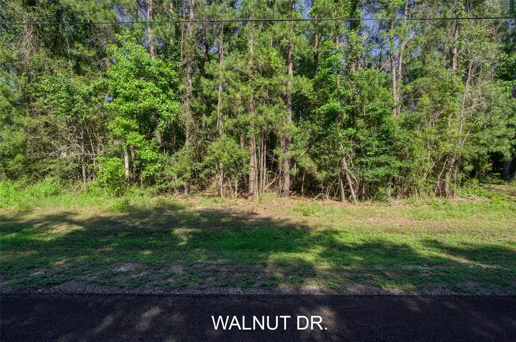 Montgomery, TX 77356,TBD LOT 57 Walnut DR