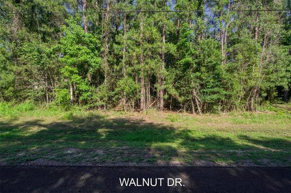 TBD LOT 57 Walnut DR, Montgomery, TX 77356