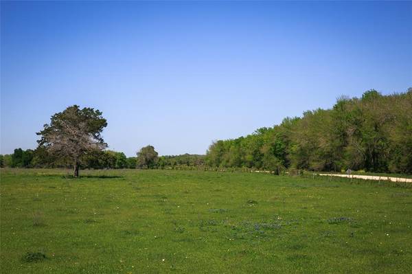 TRACT 6 Caney Creek Road, Chappell Hill, TX 77426