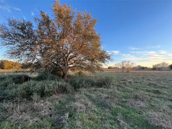 Damon, TX 77430,3 County Road 25