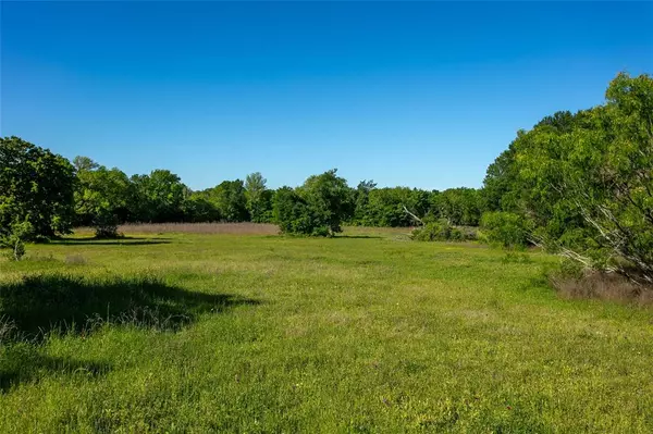 Caldwell, TX 77836,Lot 10 Brazos Court