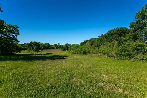 Caldwell, TX 77836,Lot 10 Brazos Court