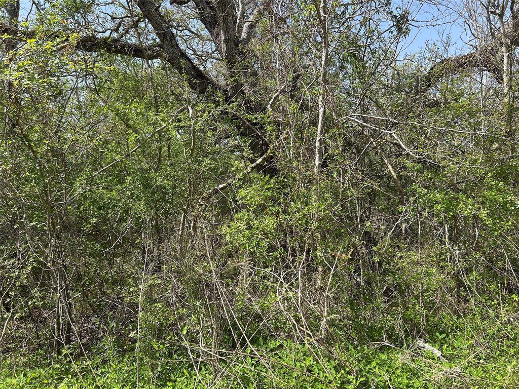 Bay City, TX 77414,0 County Road 282