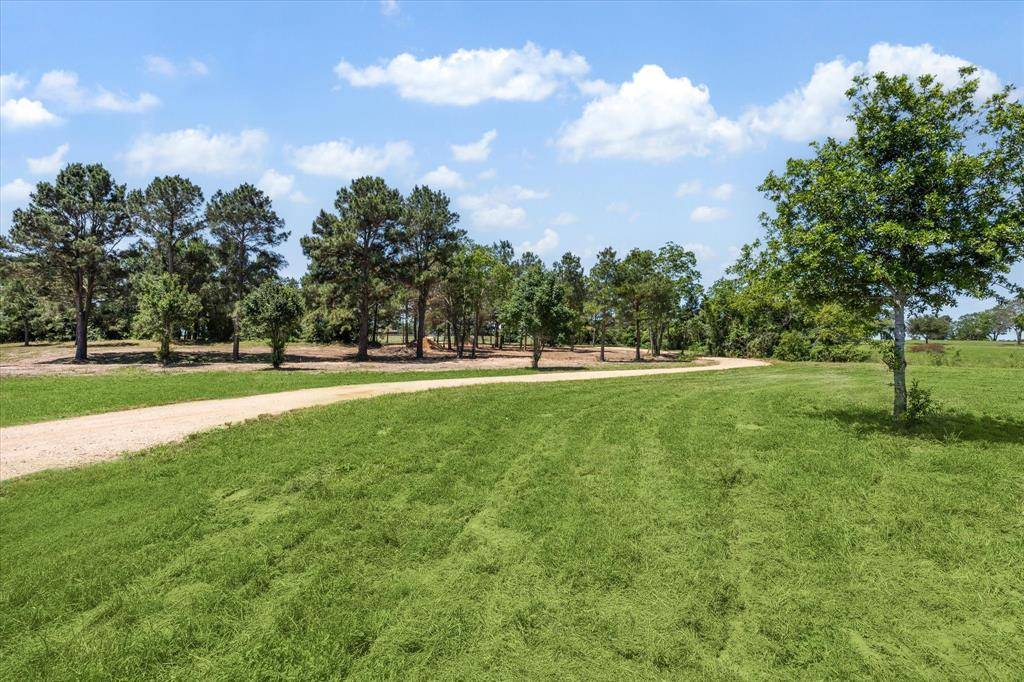 Sealy, TX 77474,6063 FM 1094