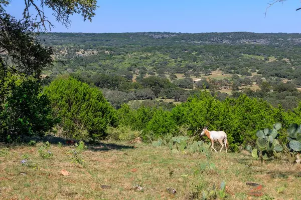 Llano, TX 78643,3821 County Road 226