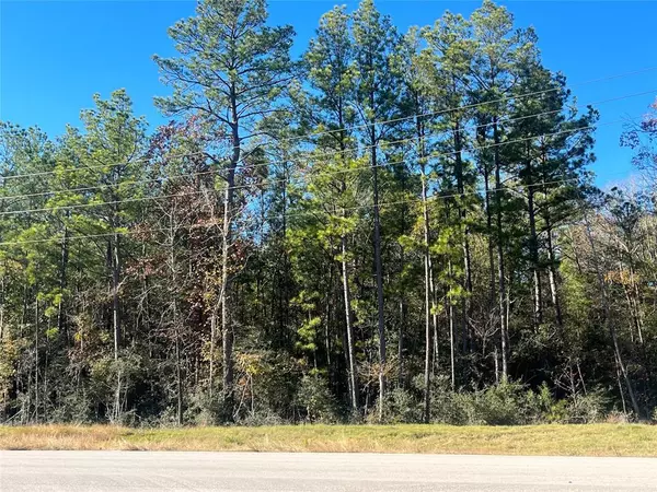 Huntsville, TX 77340,Lot 235 Block 6 Dipping Vat Rd