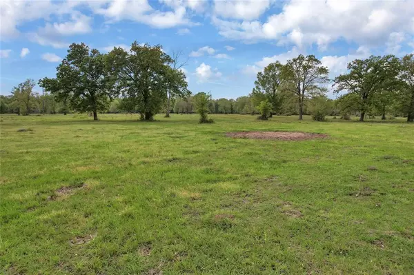 Livingston, TX 77351,Lot B Mangum DR