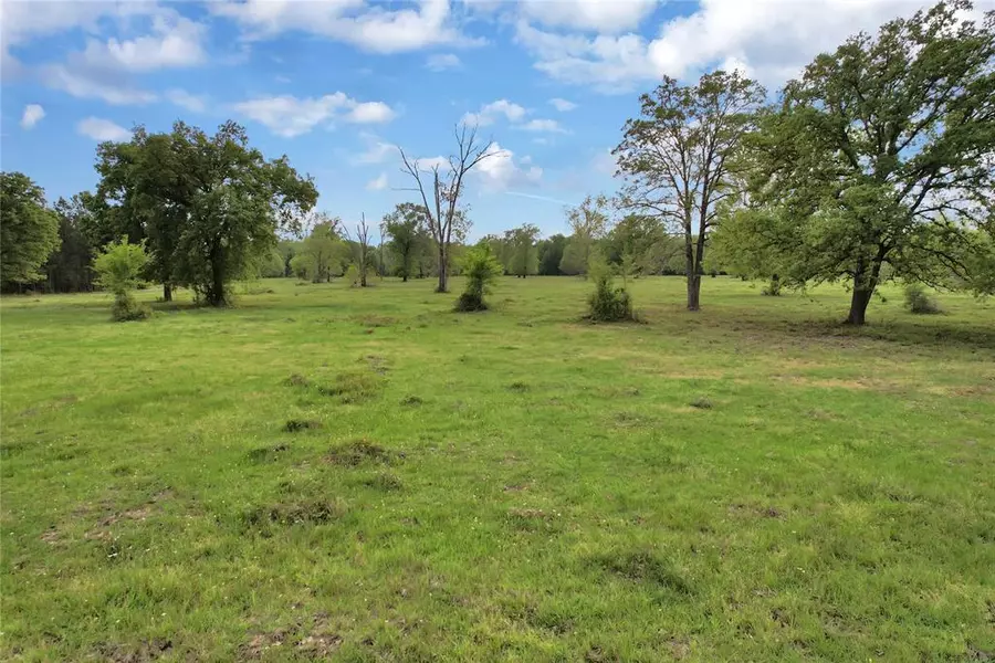 Lot B Mangum DR, Livingston, TX 77351