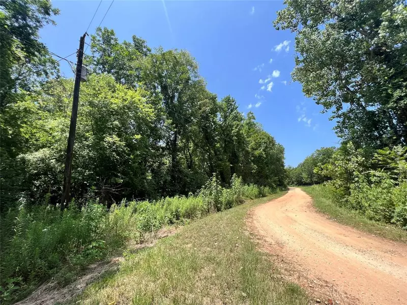 0000 S Wooded Creek LN, Shepherd, TX 77371