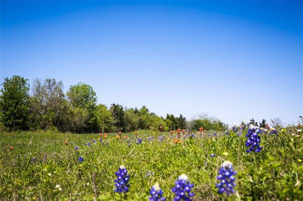 Tracts 1, 2 & 3 Caney Creek Rd, Chappell Hill, TX 77426