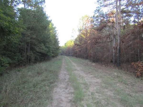 Lot 826 Greenridge, Livingston, TX 77351