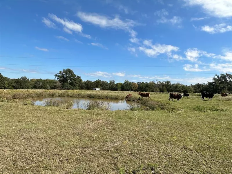 TBD 9.176 Acres FM 489, Teague, TX 75860