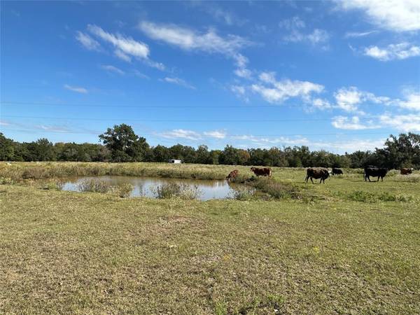 TBD 9.176 Acres FM 489, Teague, TX 75860