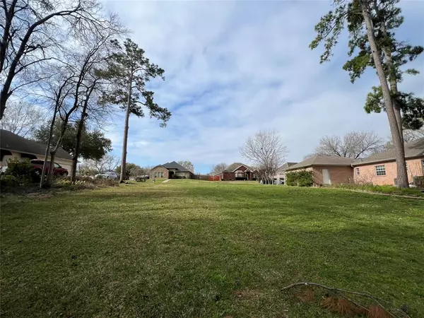 Willis, TX 77318,5322 Montego Cove DR