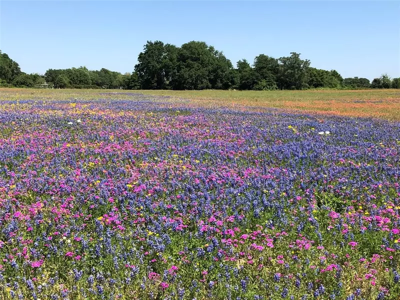 0000 Farm to Market  359 RD, Brookshire, TX 77423