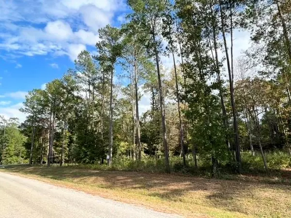 Huntsville, TX 77340,000 Texas Grand RD