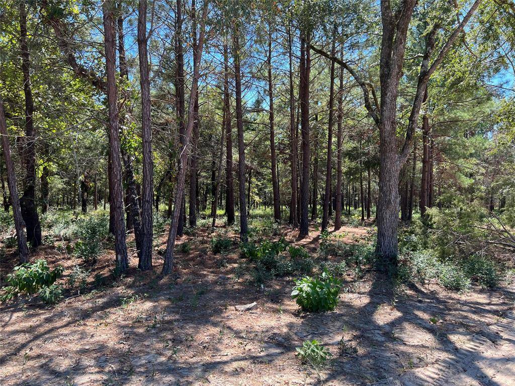 Fairfield, TX 75840,Lot 35 FM 489