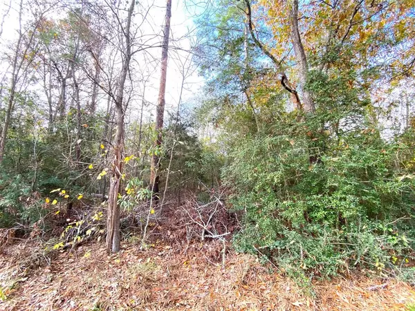 Huntsville, TX 77320,LOT 20 Lula DR