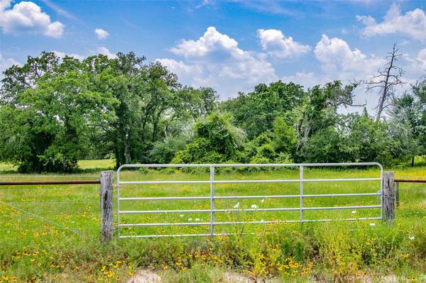 Lot 29 (5 Acres) Legacy RD, Somerville, TX 77879