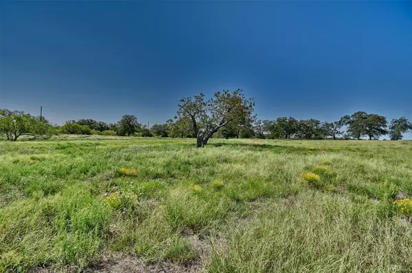 Red Rock, TX 78662,1-25 (2 acres) Starlight Path