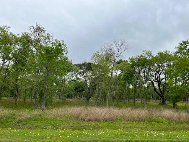 33611 Blue Marlin DR, Richwood, TX 77515