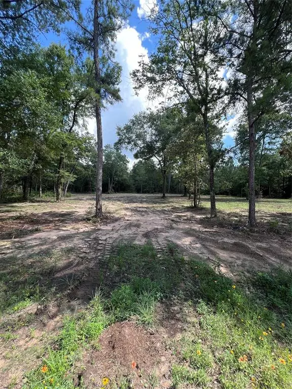 Plantersville, TX 77363,TBD Lot 2 Deerwood DR