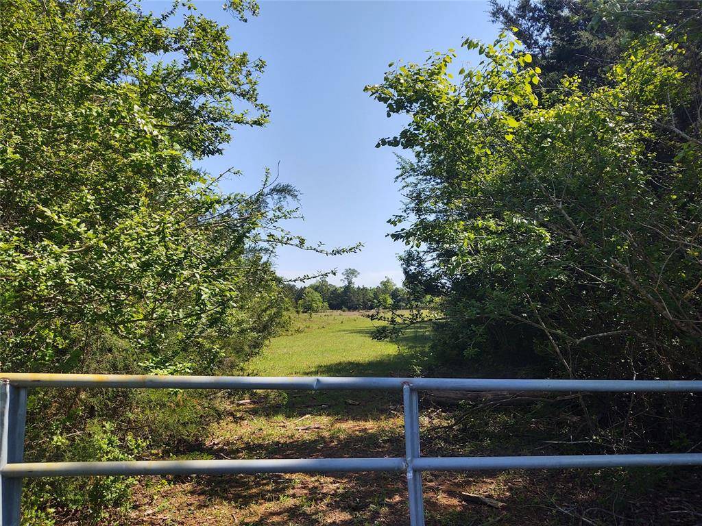 638 County Road 1737, Grapeland, TX 75844