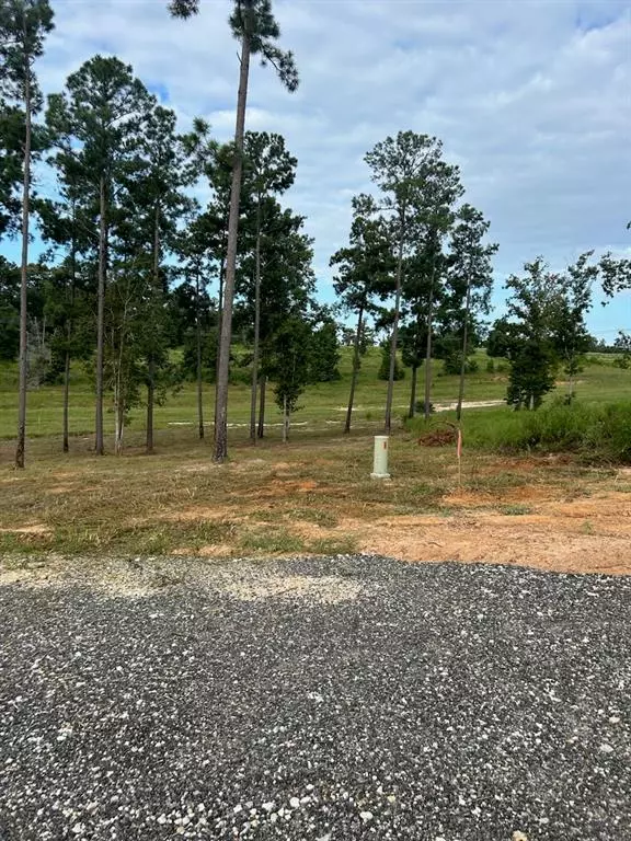 Livingston, TX 77351,Lot 37 Anna Grace RD