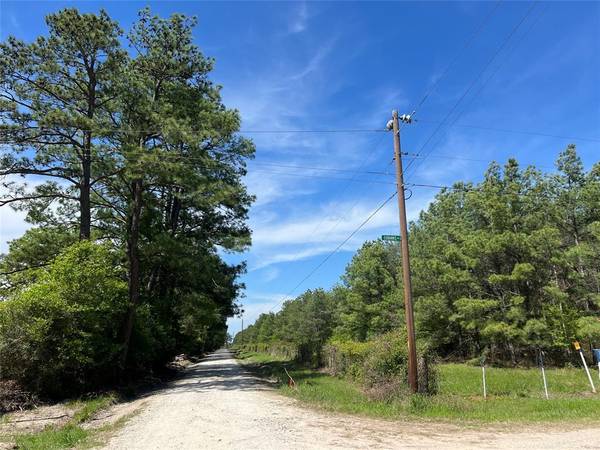 Tract 4 English Rd RD, Bedias, TX 77831