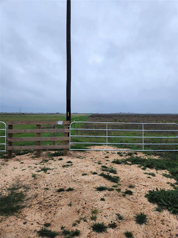 TBD FM 2761, Alleyton, TX 78933