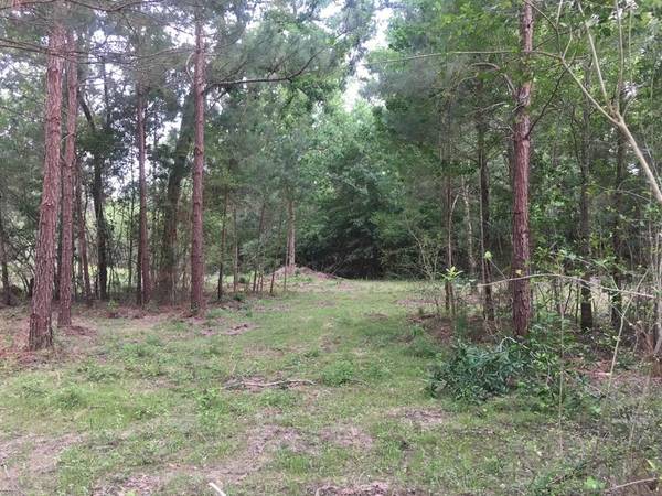 26164 Grand Pines RD,  Magnolia,  TX 77355