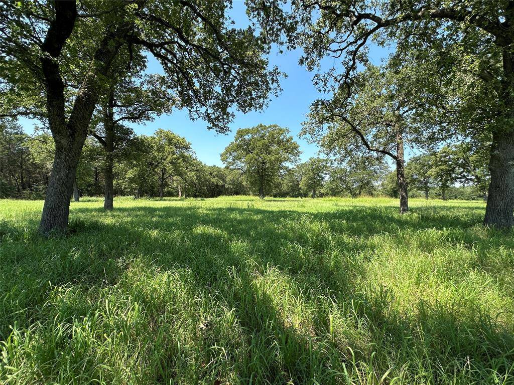 Fairfield, TX 75840,TBD Tract 1 FM 2547