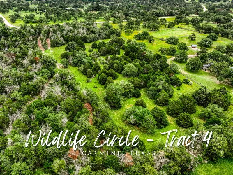 Tract 4 Wildlife CIR, Carmine, TX 78932