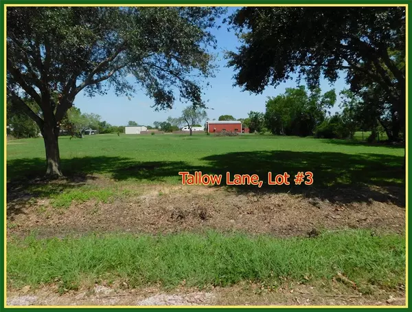 TBD (Lot 3) Tallow LN, El Campo, TX 77437