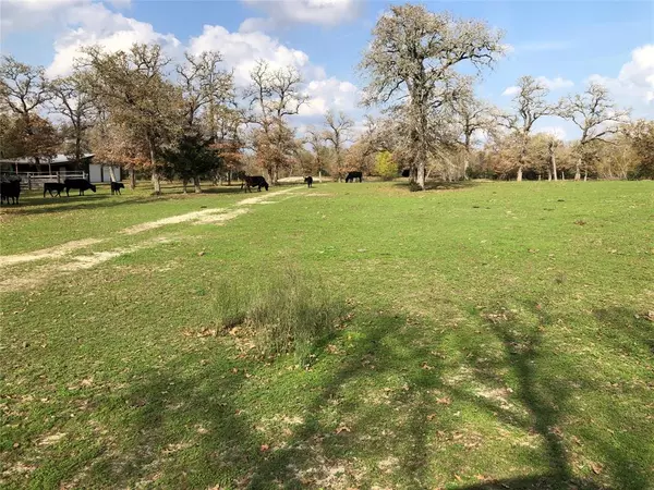 Iola, TX 77861,105.93 ac CR 121