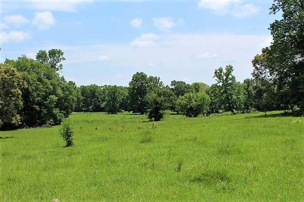 Centerville, TX 75833,TBD Easement Road off CR 490