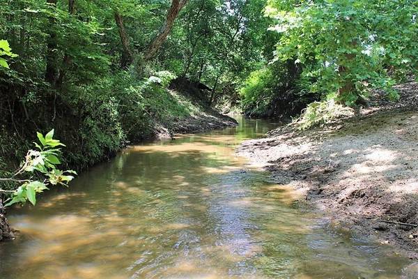 TBD Easement Road off CR 490, Centerville, TX 75833