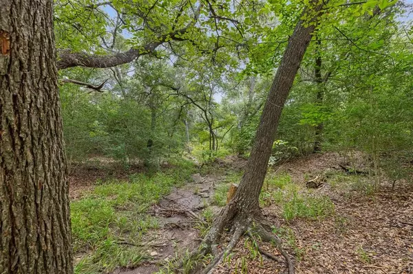 Round Top, TX 78954,TBD Drake Lane - Lot 27