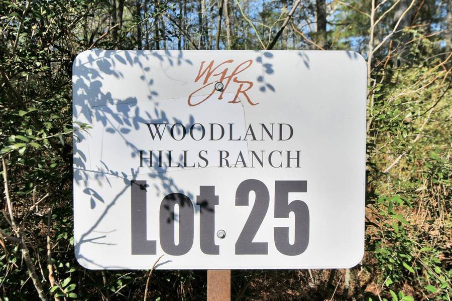 Lot 25 PR 1284, Centerville, TX 75833