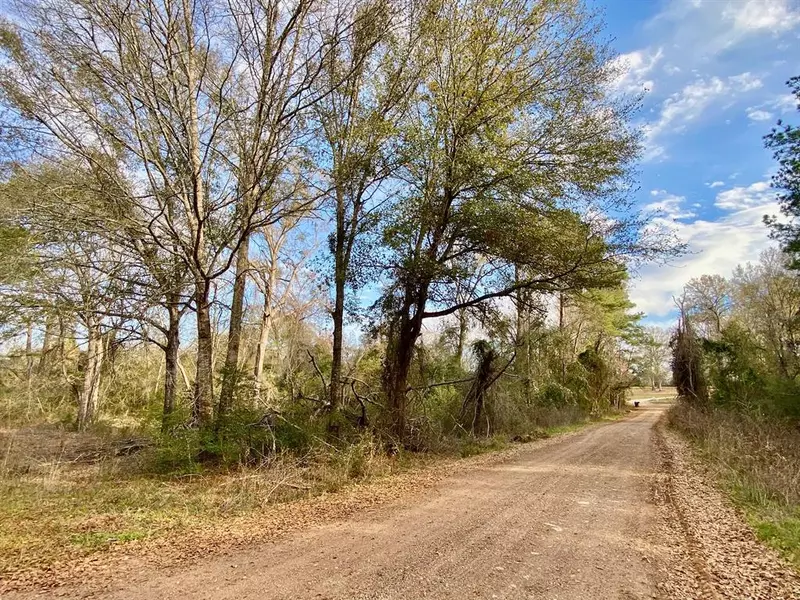 555 CR 3025, Crockett, TX 75835