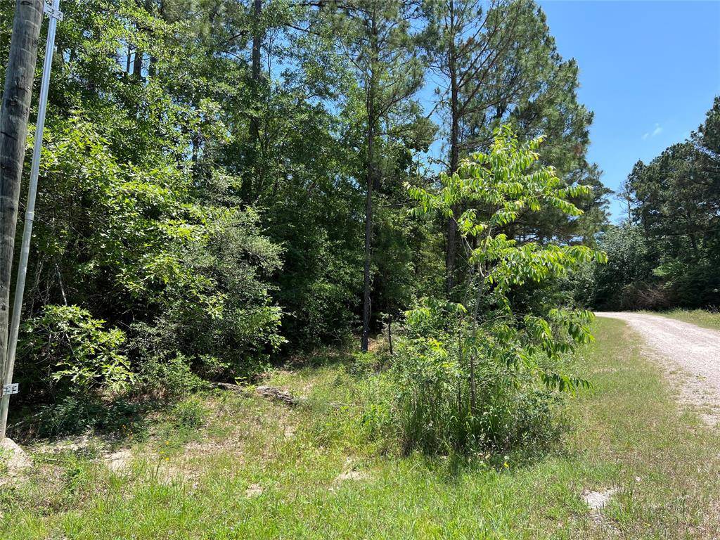 Onalaska, TX 77360,TBD VALLEYVIEW DR