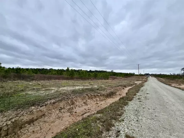 Lovelady, TX 75851,Lot 268 Lone Star Ridge Ranch