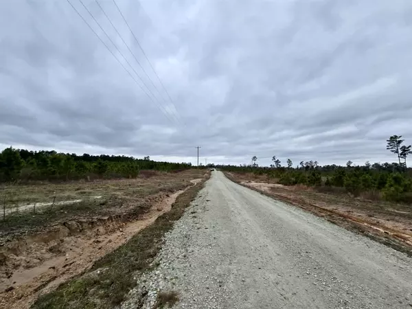 Lovelady, TX 75851,Lot 268 Lone Star Ridge Ranch