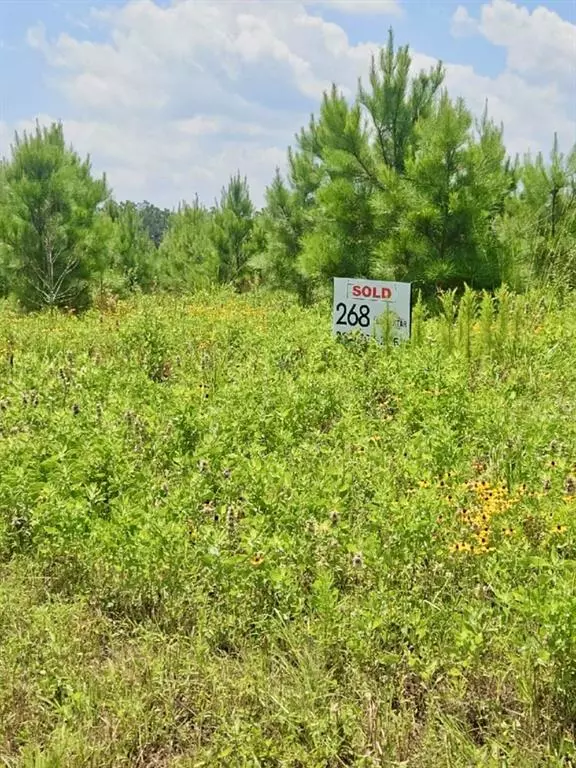 Lovelady, TX 75851,Lot 268 Lone Star Ridge Ranch