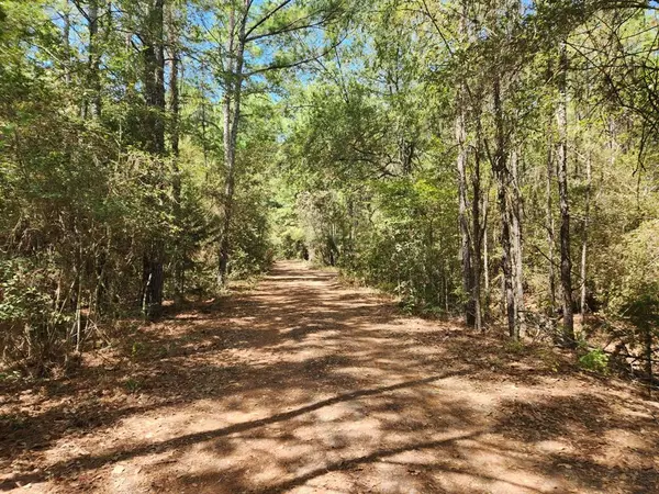 Plantersville, TX 77363,Lot 25 Honeylocust LN