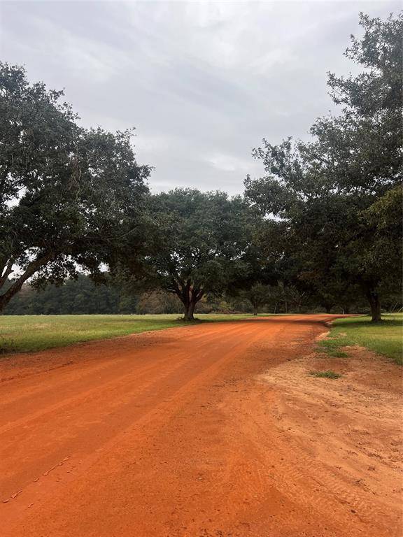 Hillister, TX 77624,Lot 136 Royal Oak Drive
